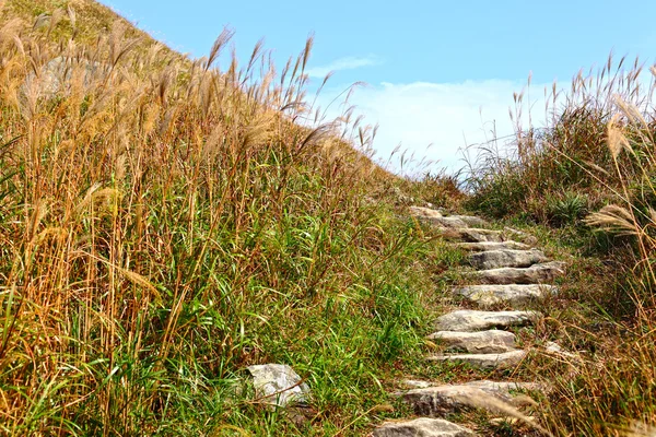 Sendero de montaña para senderismo — Foto de Stock