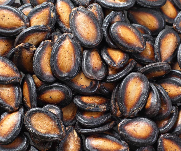 stock image Black melon seed