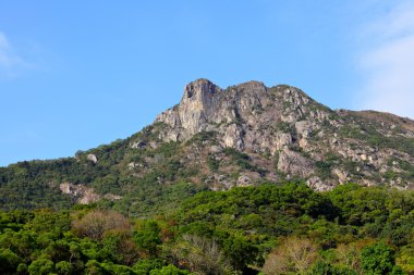 Aslan kaya, hong kong ruhu sembolü