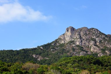 Aslan kaya, hong kong ruhu sembolü