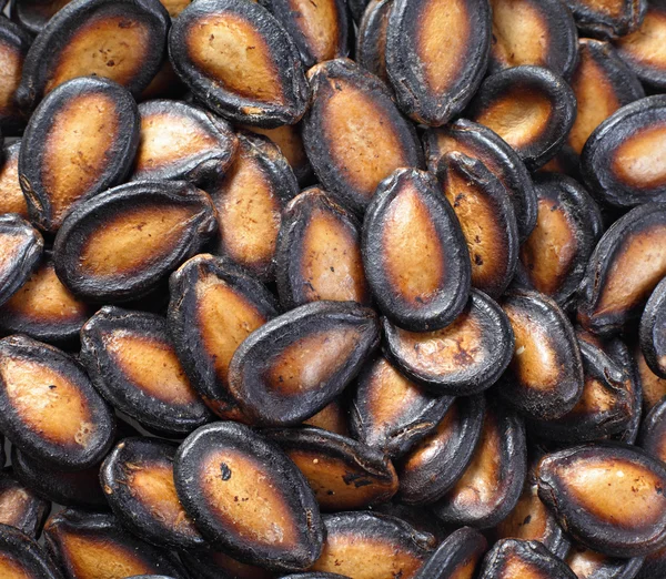 stock image Black melon seed for chinese new year