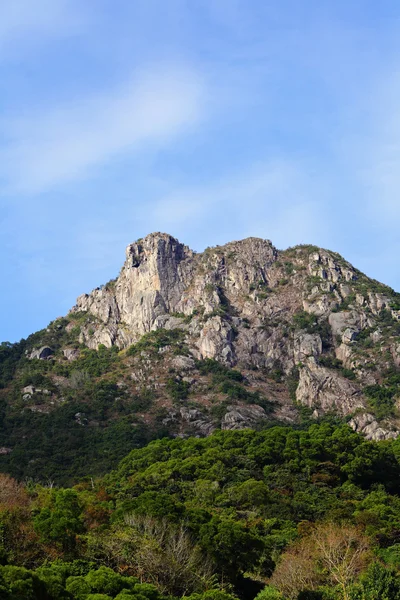 Aslan kaya, hong kong ruhu sembolü — Stok fotoğraf