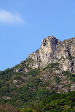 Aslan kaya, hong kong ruhu sembolü