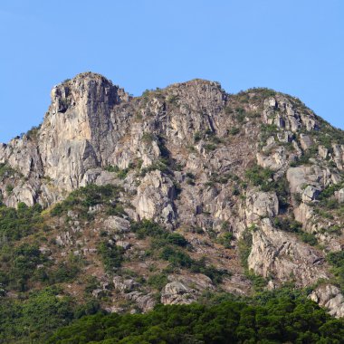 Aslan kaya, hong kong ruhu sembolü