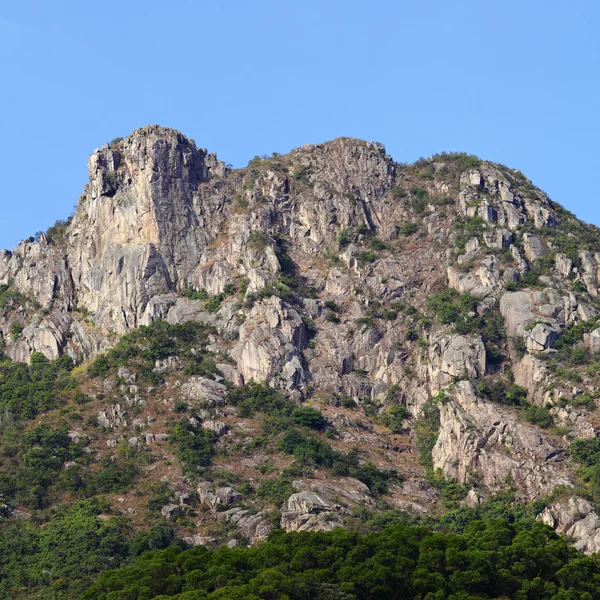 狮子岩，象征香港精神 — 图库照片