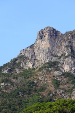 Lion Rock, lion like mountain in Hong Kong, one of the symbol of clipart