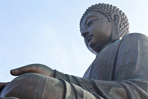 Tierischer Tan-Buddha — Stockfoto