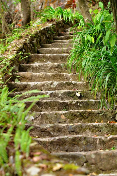 Escalera de piedra al aire libre — Foto de Stock