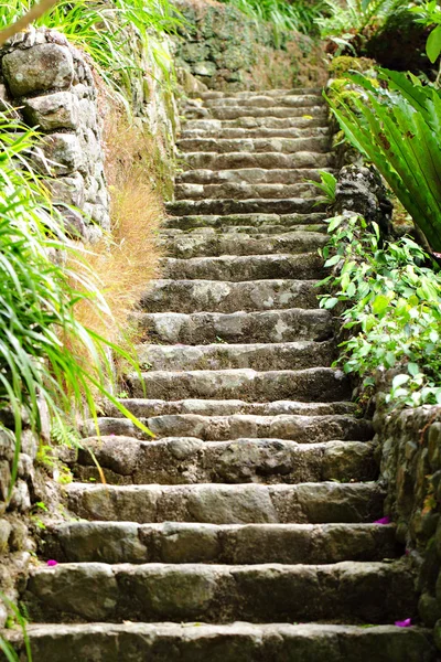Escalier en pierre extérieur — Photo