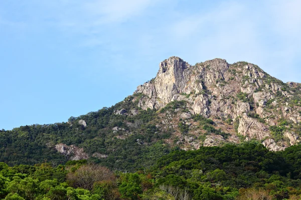 Lion Rock, lion like mountain in Hong Kong, one of the symbol of — Stock Photo, Image