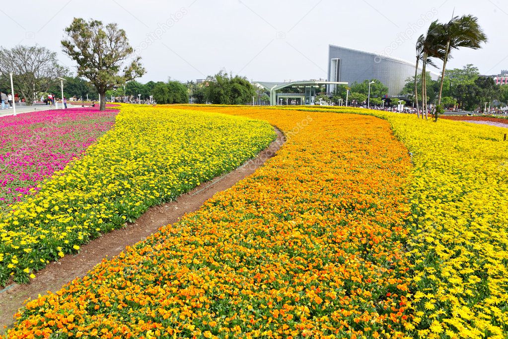 Flower field in city