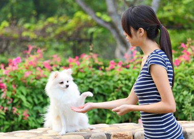 Woman training her dog clipart