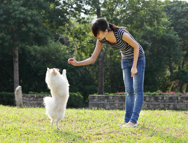 Женщина тренирует свою собаку — стоковое фото