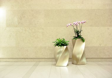 Beautiful orchid in lobby clipart