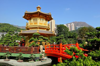 Çin bahçesindeki altın pavyon