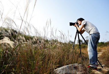 Photographer taking photo in wild clipart