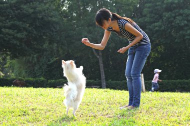 kadın köpeğini eğitmek