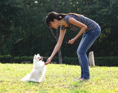 kadın köpeğini eğitmek