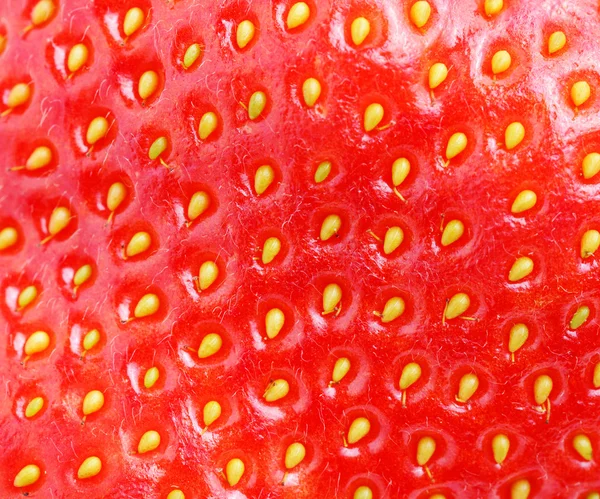 stock image Macro of strawberry texture