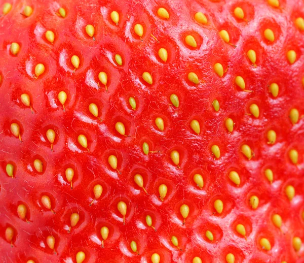 Makro strawberry textur — Stockfoto