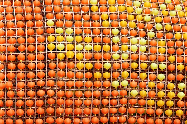 등 제비갈매기 — 스톡 사진