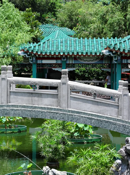 Jardim tradicional chinês com ponte — Fotografia de Stock