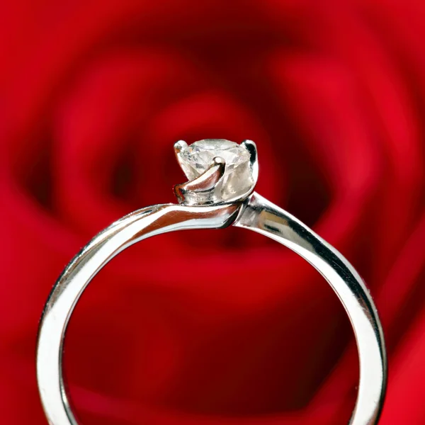 Ring met rode roos achtergrond — Stockfoto