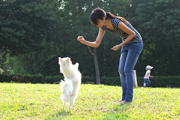 Жінка тренує свого собаку — стокове фото