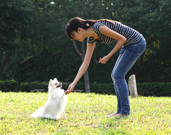 Жінка тренує свого собаку — стокове фото