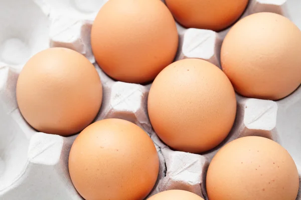 Eier im Paket — Stockfoto