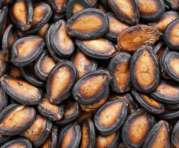 stock image Black melon seed