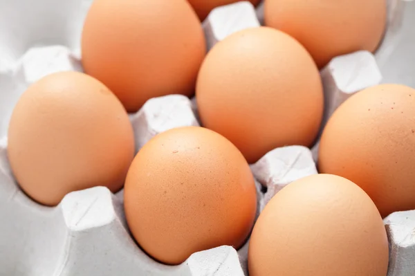 stock image Eggs in box