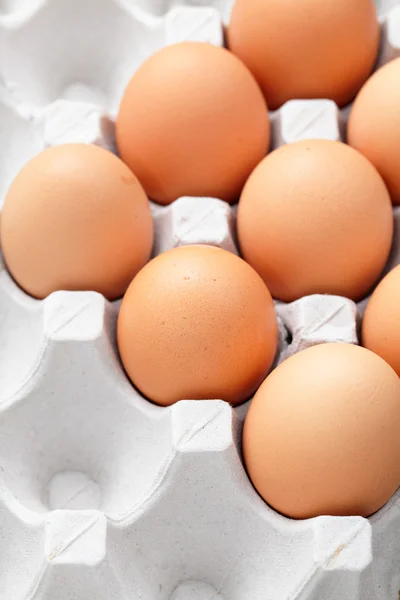 Yumurta kutusu — Stok fotoğraf