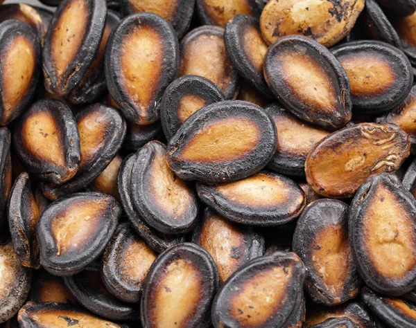 Семена чёрной дыни — стоковое фото