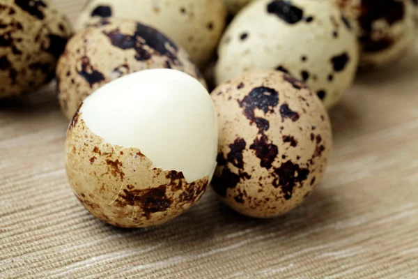 Group of quail eggs — Stock Photo, Image