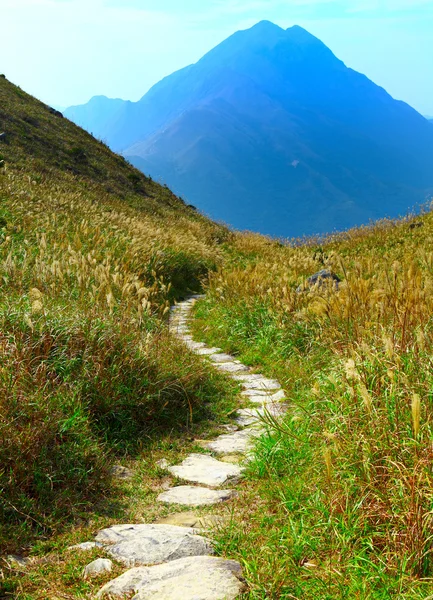 stock image Mountain path