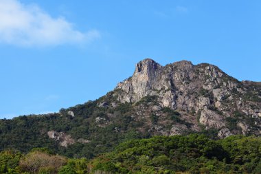 Aslan kaya hong Kong