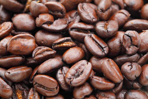 stock image Coffee bean