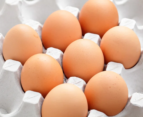 stock image Brown eggs in box