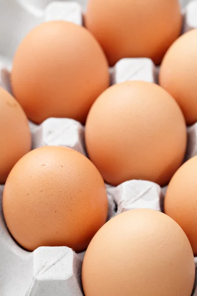 Kahverengi yumurtalar kutuda — Stok fotoğraf