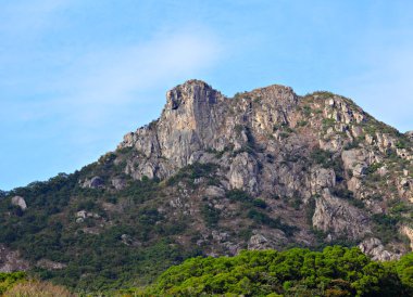 Aslan kaya hong Kong