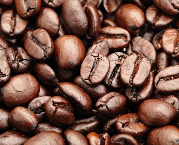 Grain de café gros plan — Photo
