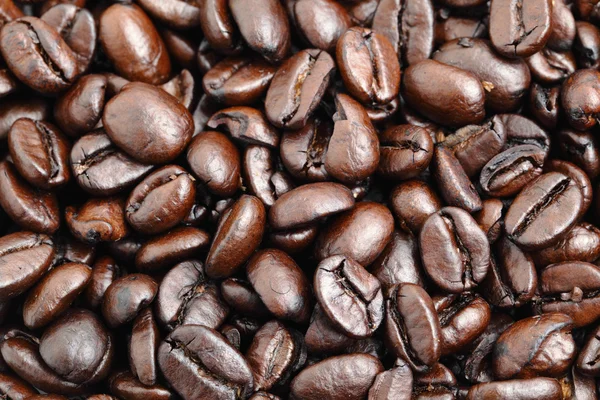 Coffee bean close up — Stock Photo, Image