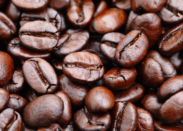 stock image Coffee bean close up