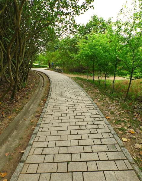 stock image Path in country side