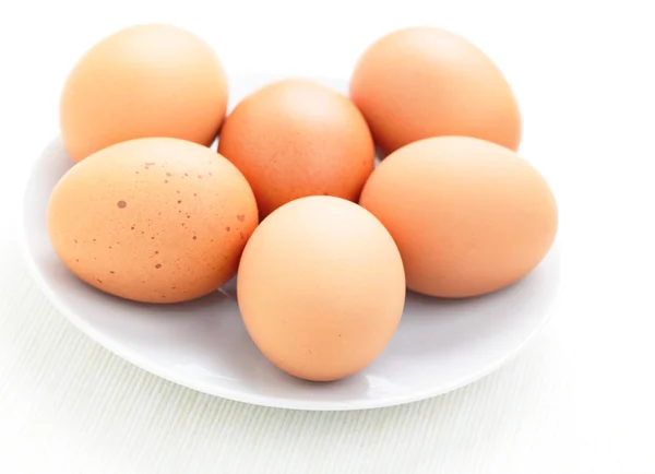 ताजे अंडी — स्टॉक फोटो, इमेज