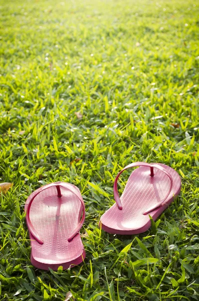 stock image Flip flops on grass