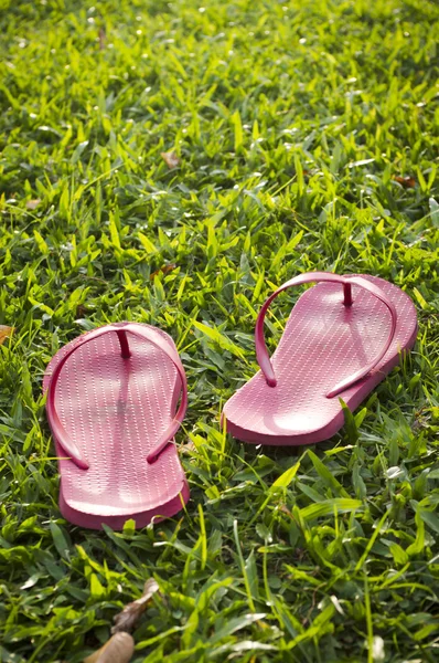 stock image Flip flops on grass