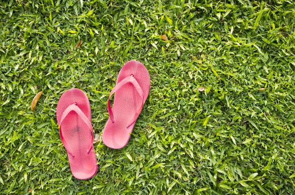 在草地上拖鞋 — 图库照片