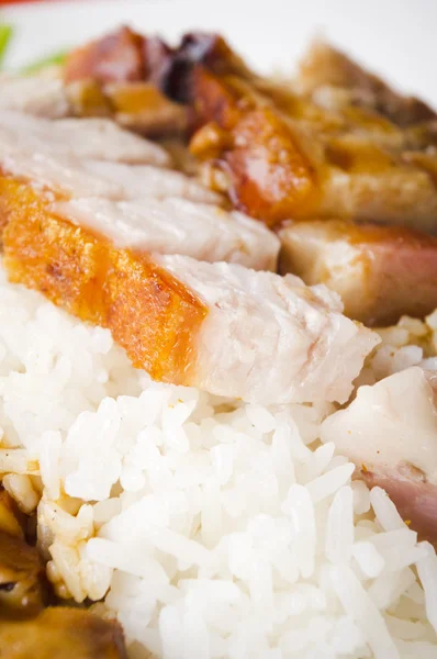 stock image Roasted pork rice